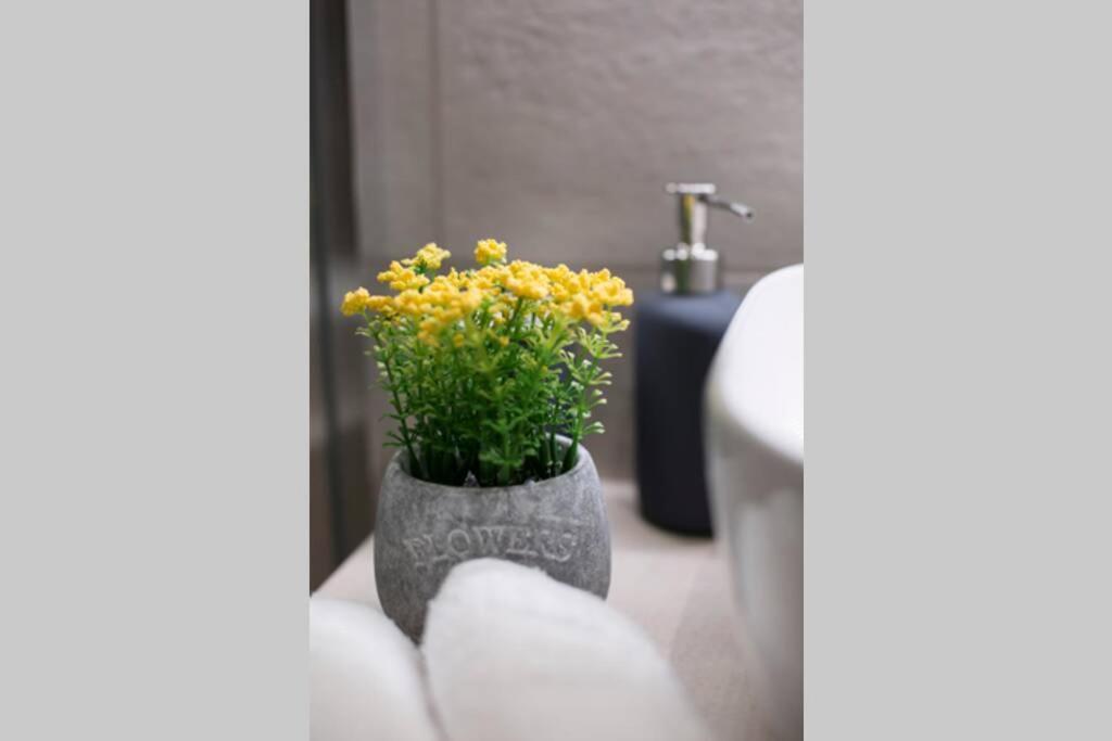 City Center Modern Renovated Apartment Atenas Exterior foto